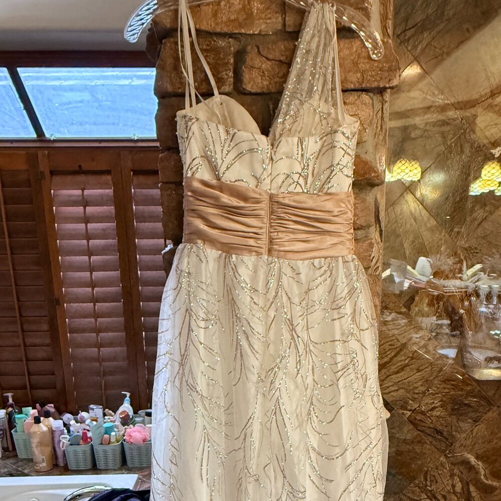 Elegant Ivory Cache Gown With Sequin Details And … - image 3